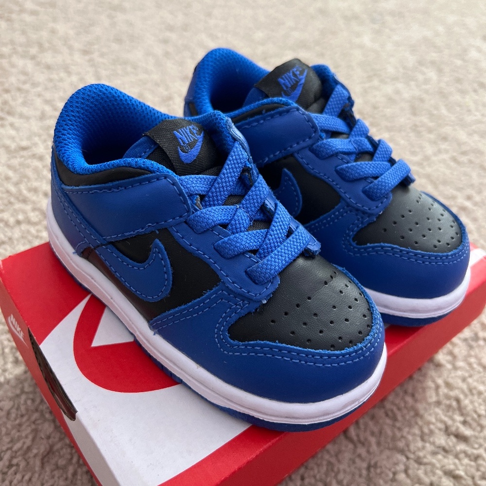 Nike dunk low (toddler)